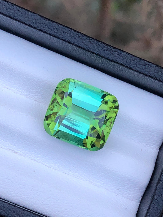 14.10 Carat Bluish-Green Tourmaline