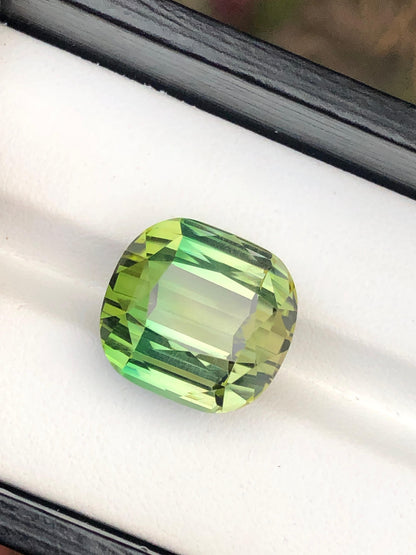 21.90 Carat Bicolour Tourmaline