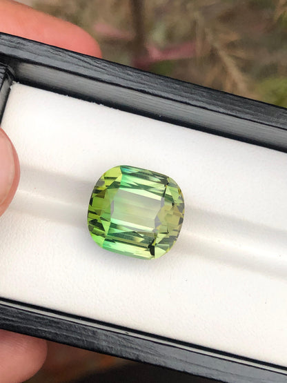 21.90 Carat Bicolour Tourmaline