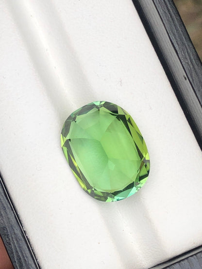 17.20 Carat Bluish-Green Tourmaline