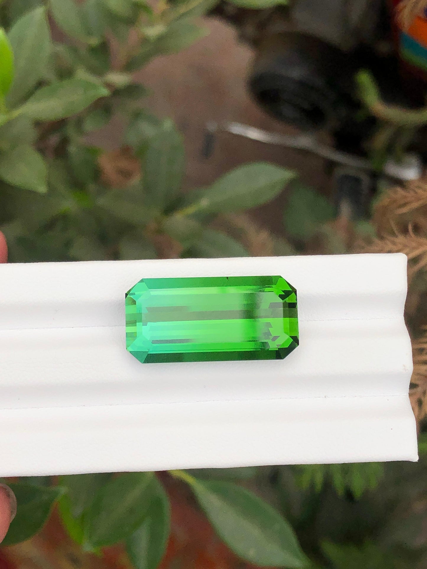 Green bicolour color tourmaline