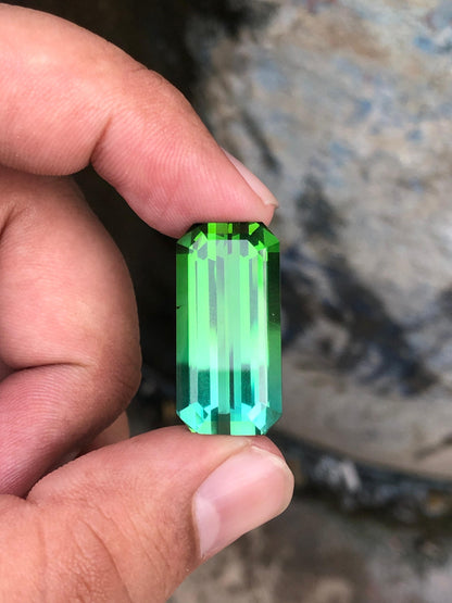 Green bicolour color tourmaline