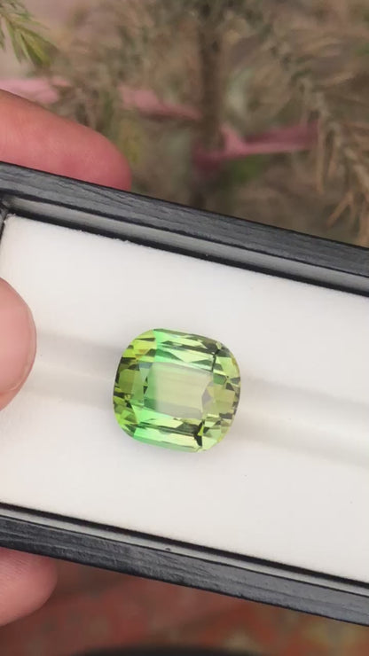 21.90 Carat Bicolour Tourmaline