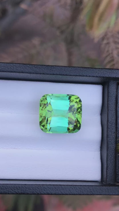 14.10 Carat Bluish-Green Tourmaline