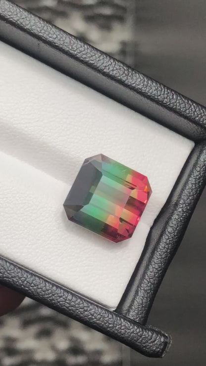 12.57 Carat Tri-Colour Tourmaline