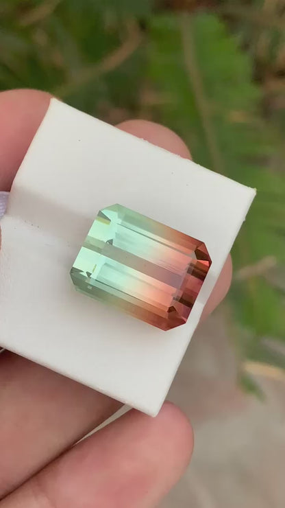 Afghani tricolour tourmaline