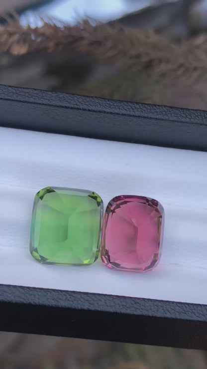 A Perfect Pair: 26 Carats of Bluish-Green and Peach-Pink Tourmalines