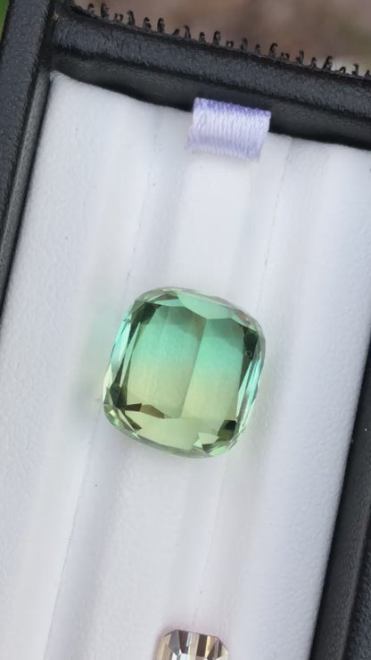 28.32 Carats of Natural Bicolour Tourmalines