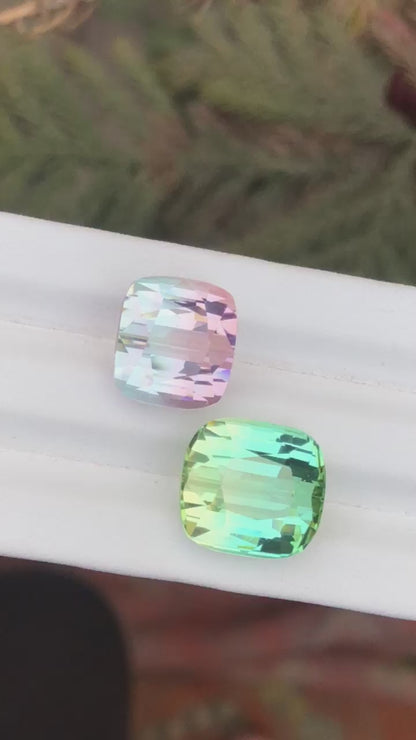 28.32 Carats of Natural Bicolour Tourmalines